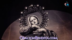 Oración A La Virgen Del Carmen: Almas, Conductores Y Más